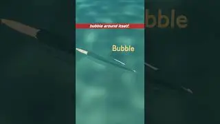 Supercavitating Torpedo