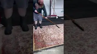 Grooming a Wool Rug!