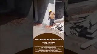 How We Professionally Kill Termites Before They Kill Your Home | Mars Brown Pakistan