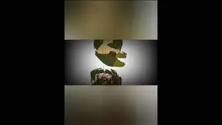 scraptrap Jumpscare | Fnaf | Dc2