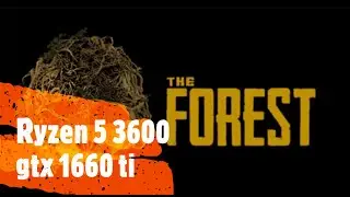 The Forest | Ryzen 5 3600 + GTX 1660 Ti  | Benchmark High Settings 1080p