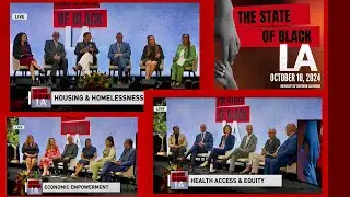 State of Black LA 2024: A Day of Progress, Exploration and Determination (LP)