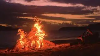 Kyle Fisher Live Stream