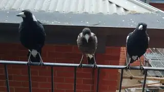 They were doing something different 