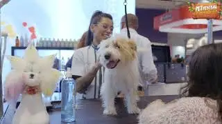 PET Festival 2025