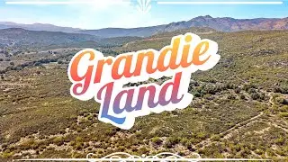 GrandieLand! 160 Acres - Priced Below Market