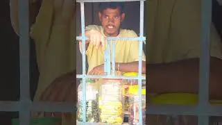 Mere Ko Aij Tak Koi...#all#funny#sanjibcomedy#