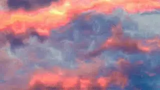 [FREE] 