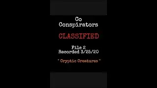 Classified File 2 