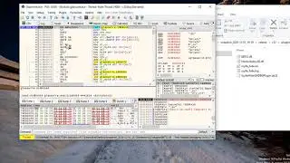 Themida Anti Debugger
