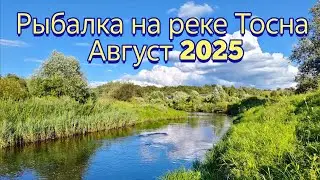 Рыбалка на Реке Тосна/Ленинградская область/Август2025