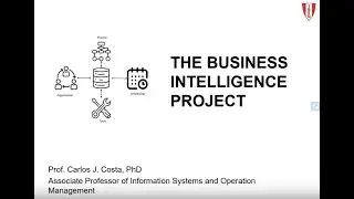 The Business Intelligence Project