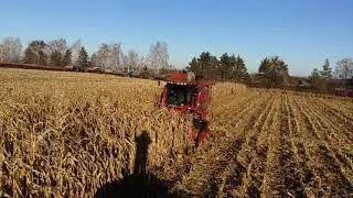 Уборка кукурузы 2017 CASE 2366