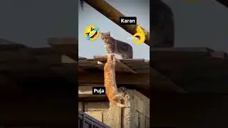 comedian short video 😂😂 #comedyclips #oldisgoldsongoldisgoldsong #reels #cute