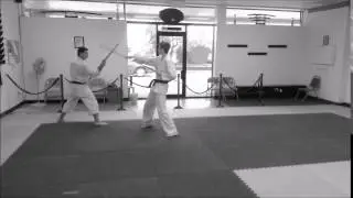 Functional Kobujitsu kumi Bo: Prearranged drill Renzoku