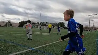LSA Shark Shootout 2023