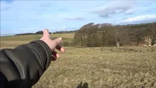 Priddy Barrows & Mineries Walk, Part VI ,'A Sheep Field Overlooking Stockton Wood'by Sheila, Februar