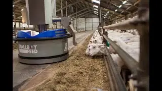 Futterschieber f&uuml;r Ziegen STALLBOY FEED
