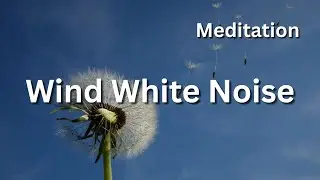 Serene Wind White Noise &ndash; Tranquil Meditation & Inner Peace | Soothing Nature Sounds