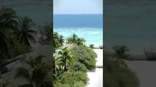 Aerial Shot Of Tropical Beach