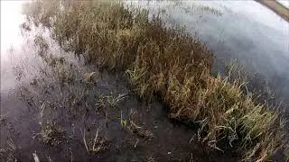 ca grasslands refuge duck hunt, small spread