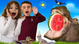 Подборка видео с животными от Невы и Нали29 минут веселья! 🦁🐢