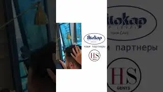 Eliocap Top Level in Dubai. Against hair loss