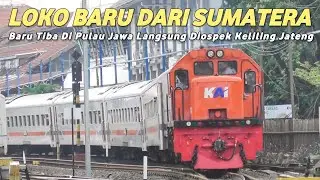 LOKOMOTIF RNB HIDUNG KOTAK DARI SUMATERA LANGSUNG DIOSPEK KELILING JAWA TENGAH!