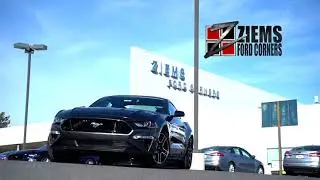 Pony up For the 2021 Mustang at Ziems Ford Corners