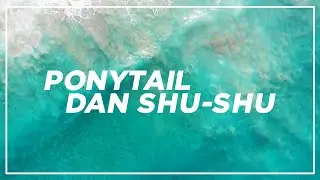 [Orchestral Cover] JKT48 - Ponytail dan Shu-Shu