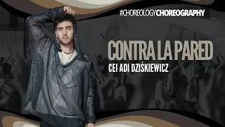 CONTRA LA PARED - CHOREOLOGY by Salsation&reg; Choreography by CEI Adi Dziśkiewicz