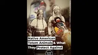 Native American Totem Animals & What They Protect Against