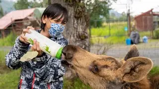 Kid with Autism feeds the Moose at Alaska Wildlife Conservation Center