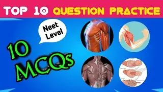 MCQ on Muscular System || MCQ'S Quiz on Muscular System || Muscle