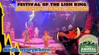 [4k] Festival of the Lion King at Disney's Animal Kingdom
