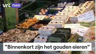Prijs van eieren schiet de lucht in: hoe komt dat?