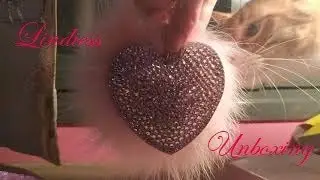 Lindiess bag charm unboxing