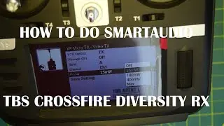 Как настроить приемник SmartAudio TBS CROSSFIRE DIVERSITY NANO и управлять VTX через Radiomaster TX16S