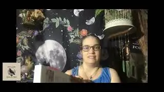 Book Review: The Book of Stones by Robert Simmons and Naisha Ahsian