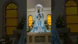 San Sebastian Cathedral In Bacolod #church#bacolod#sebastian#catholic#asmr#tour#visit#sansebastian
