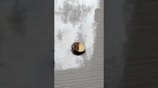 очищення монети