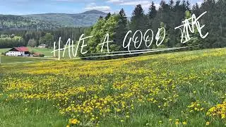 30 Minutes of Peace in a Bavarian Forest &ndash; Birdsong & Silence  🗓️ May 2025