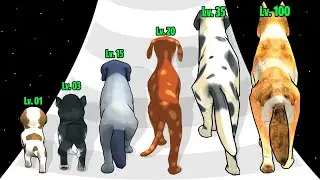 Dog Evolution Run - Upgrade Dog, Max Level Gameplay