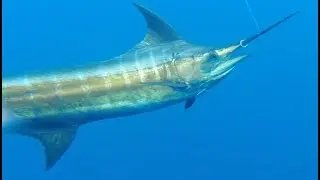 Teaser from our 5 day trip with Bahia Rica Adventures