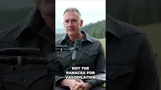 The Truth About Nitric Oxide: Debunking the Vasodilation Myth