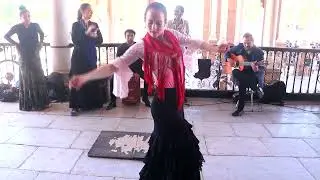 Real Spanish Flamenco dance in Plaza de Espa&ntilde;a Sevilla, April 2022