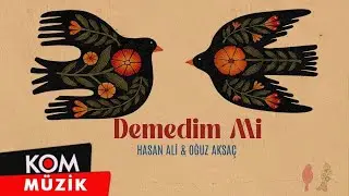Hasan Ali & Oğuz Aksa&ccedil; - Demedim Mi (Official Audio)