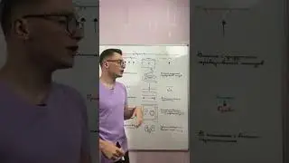 6 отличий между жирорастворимыми и водорастворимыми витаминами, часть 1