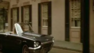 Wild At Heart Trailer