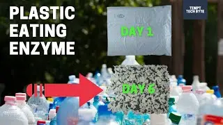 Plastic Eating Enzymes - The Solution to Pollution
